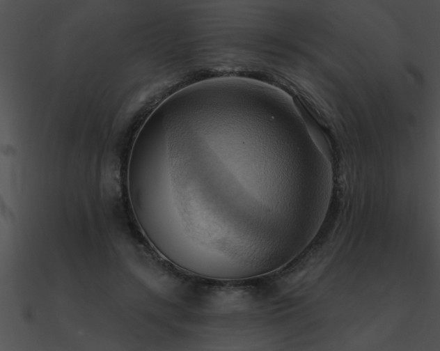 X0000090980547200708021501
