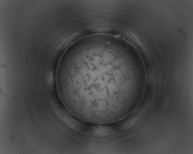 X0000090980549200708021501