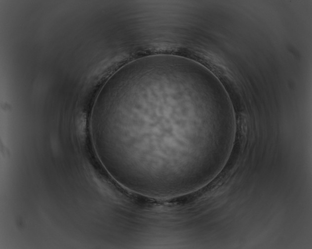 X0000090980550200708021501