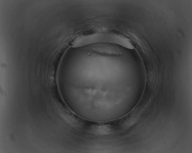 X0000090980553200708021501