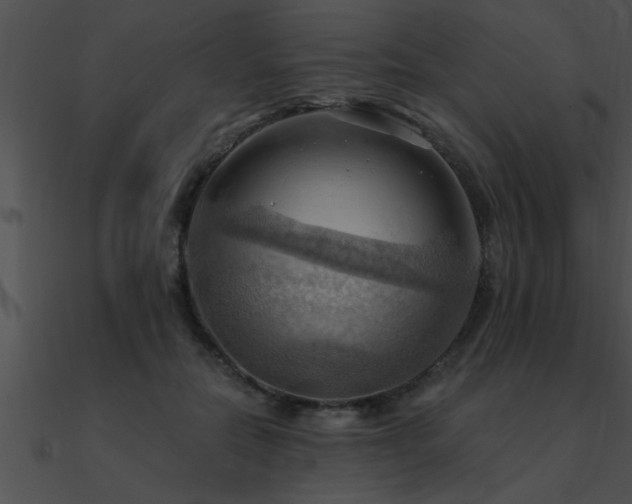 X0000090980554200708021501