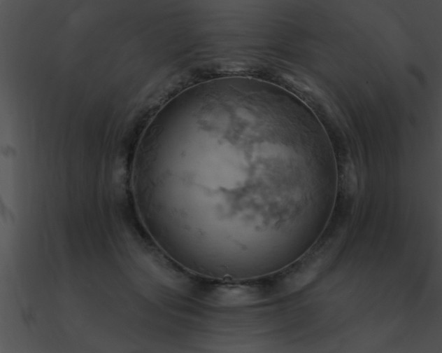 X0000090980557200708021501