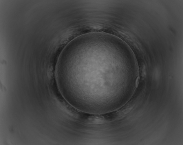 X0000090980559200708021501