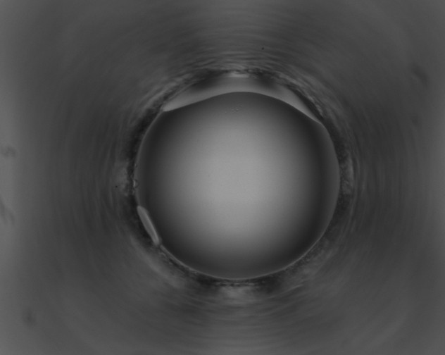 X0000090980560200708021501