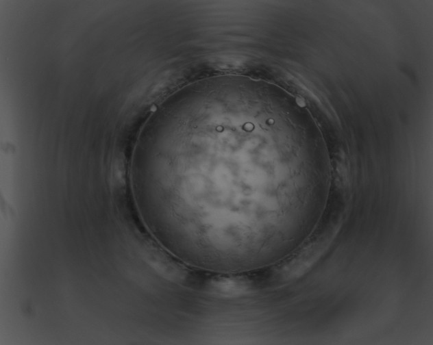 X0000090980561200708021501