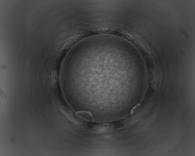 X0000090980563200708021501
