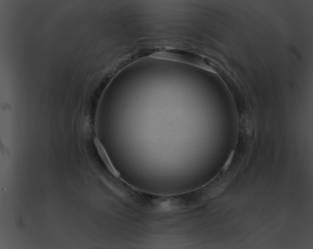 X0000090980564200708021501