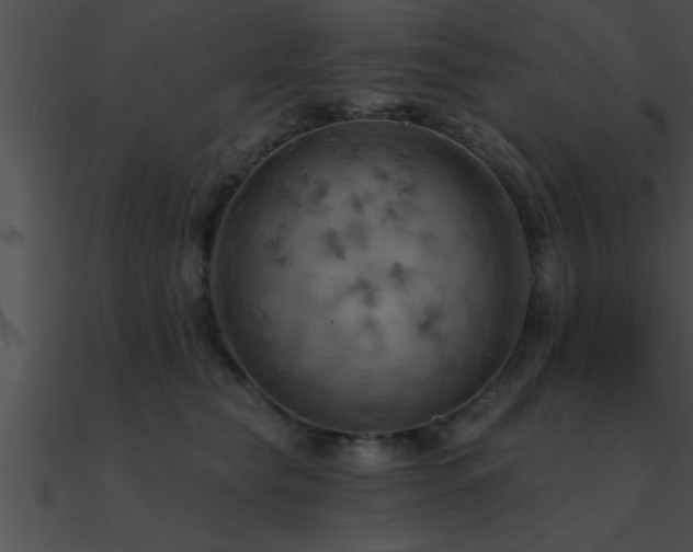 X0000090980565200708021501