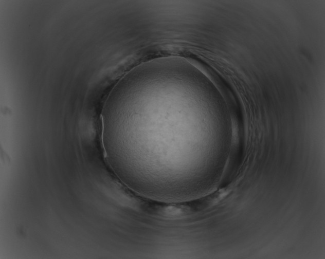 X0000090980566200708021501