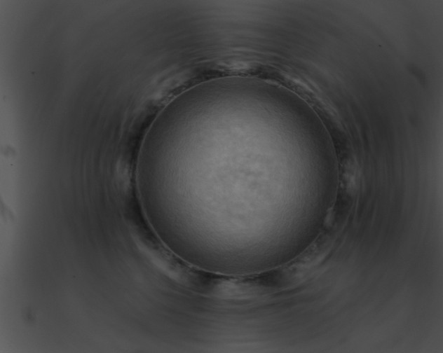 X0000090980568200708021501