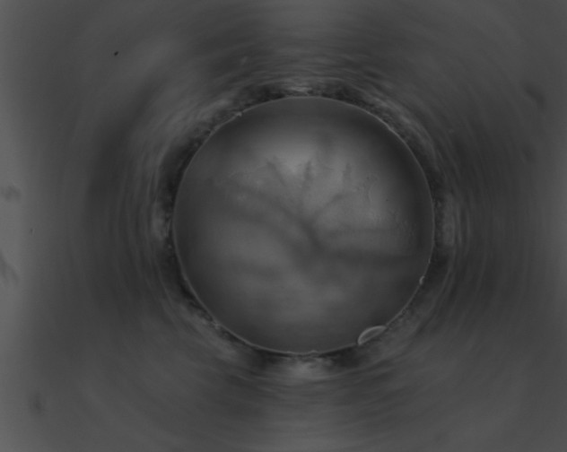 X0000090980569200708021501