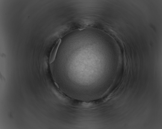 X0000090980570200708021501