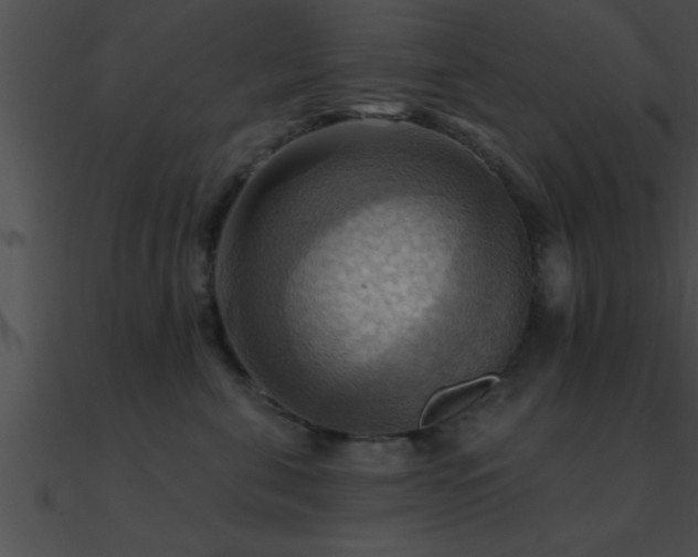 X0000090980571200708021501