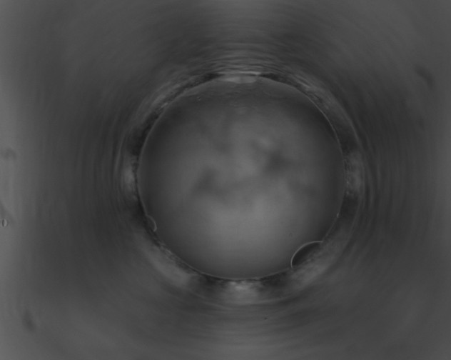 X0000090980573200708021501