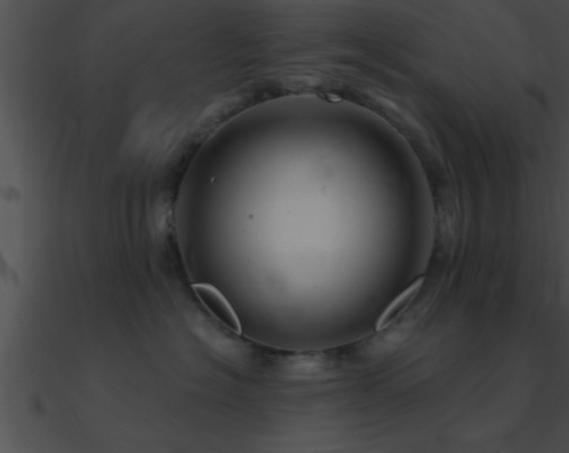 X0000090980574200708021501