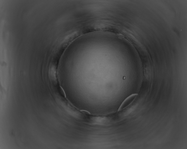 X0000090980575200708021501
