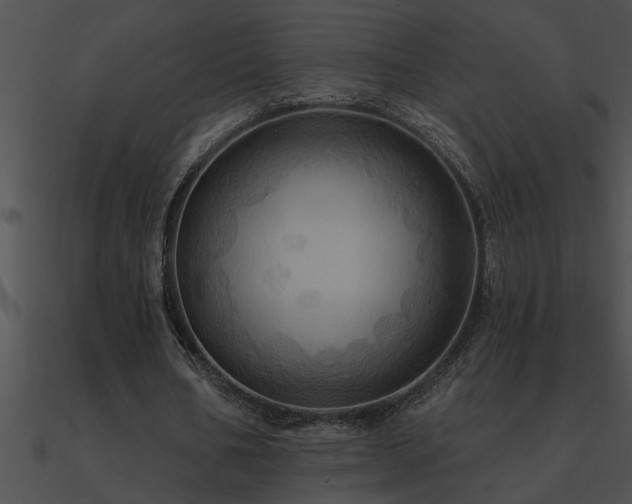 X0000090980578200708021501