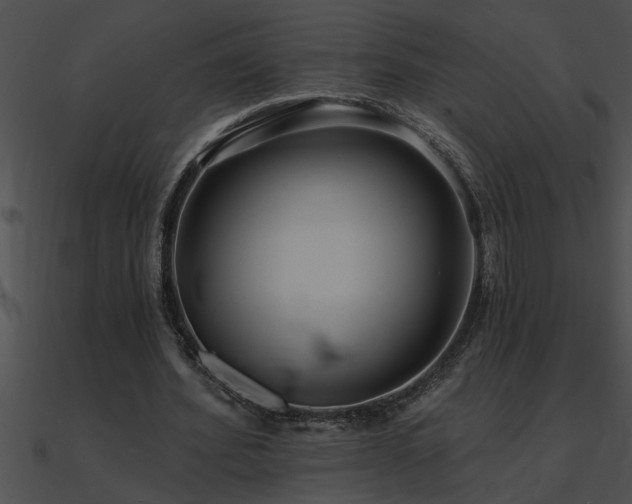 X0000090980580200708021501