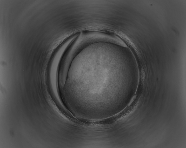 X0000090980581200708021500