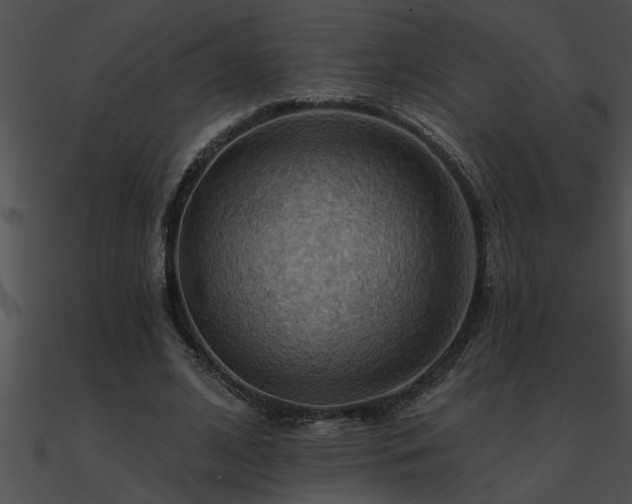 X0000090980584200708021500