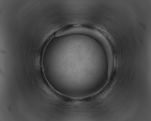 X0000090980585200708021500