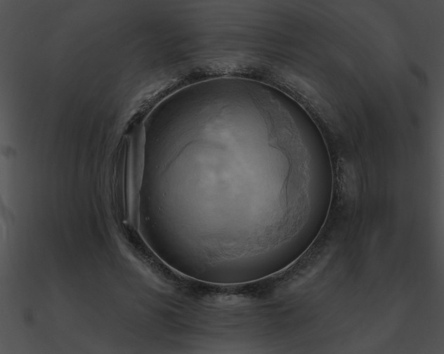 X0000090980590200708021500