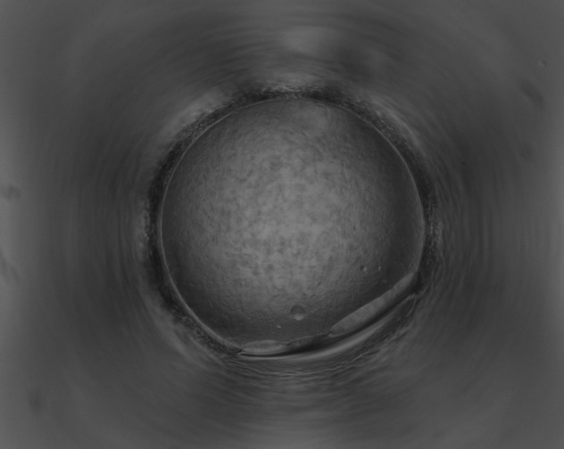 X0000090980591200708021500