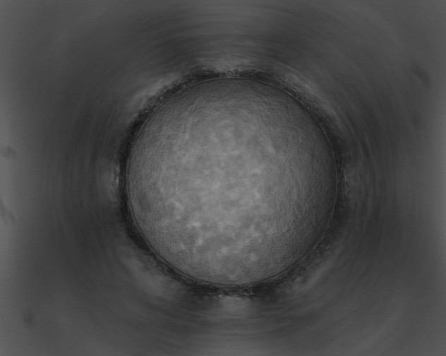 X0000090980592200708021500