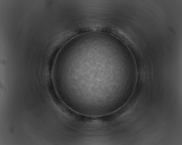 X0000090980594200708021500