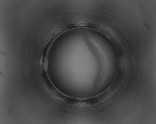 X0000090980598200708021500