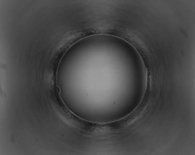 X0000090980599200708021500