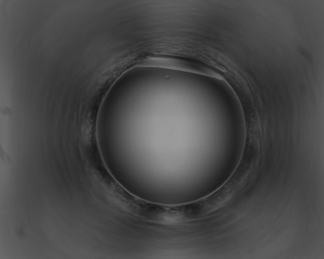 X0000090980604200708021500