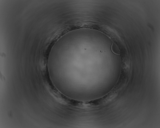 X0000090980607200708021500