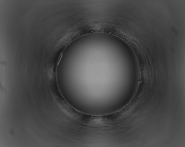 X0000090980611200708021500