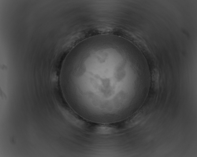 X0000090980614200708021500