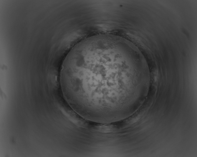 X0000090980615200708021500