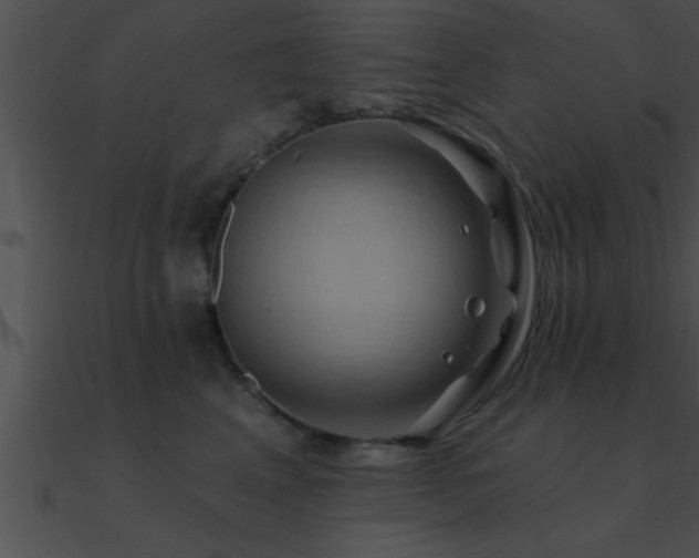X0000090980617200708021500