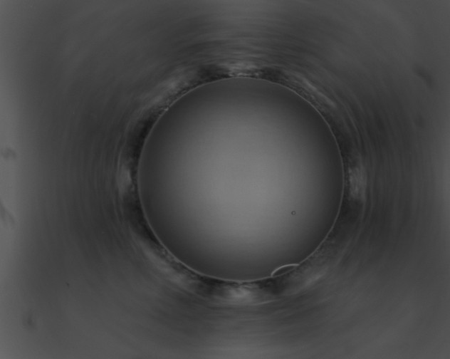 X0000090980618200708021500
