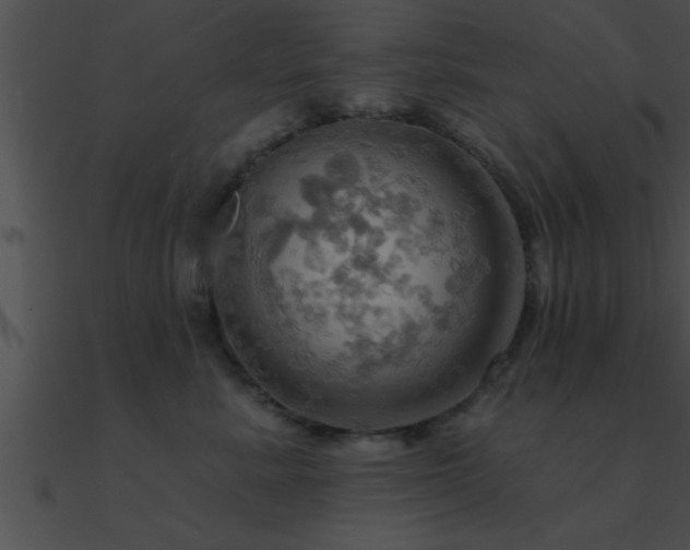X0000090980619200708021500