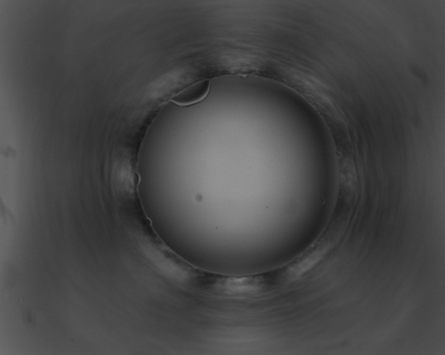 X0000090980622200708021500