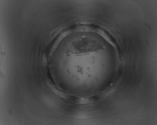 X0000090980623200708021500