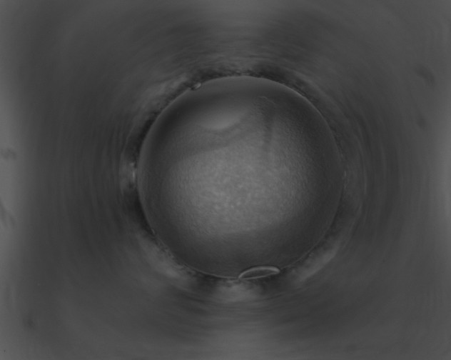 X0000090980624200708021500