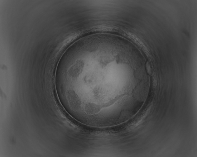 X0000090980625200708021459