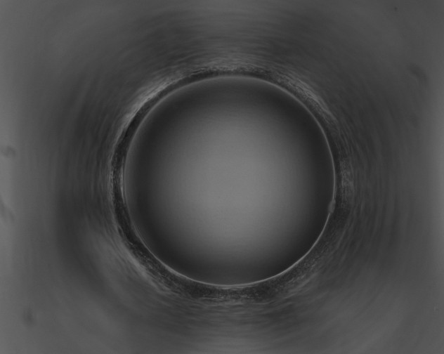 X0000090980626200708021459