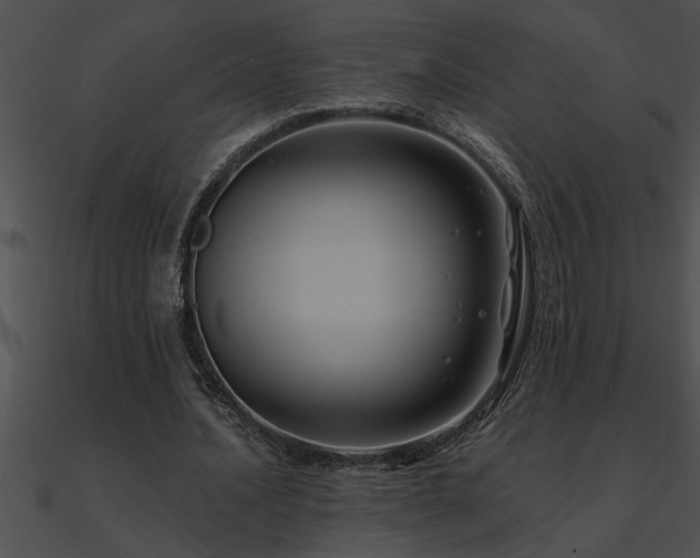 X0000090980628200708021459