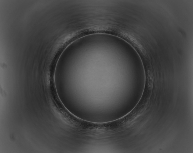 X0000090980631200708021459