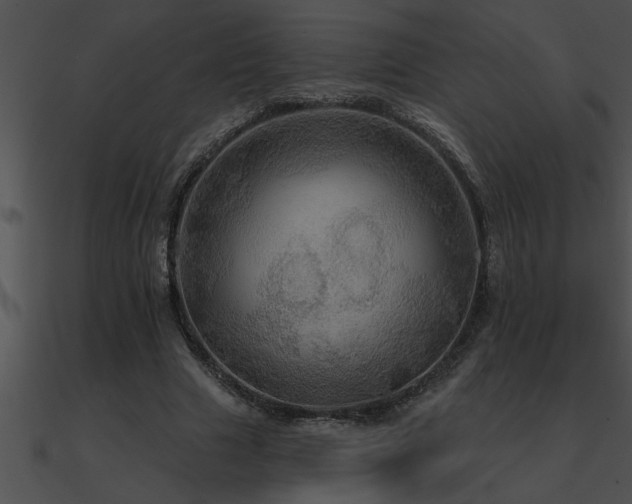 X0000090980633200708021459