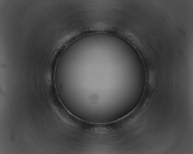 X0000090980636200708021459