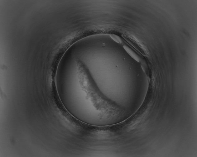 X0000090980637200708021459