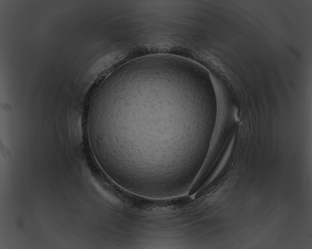 X0000090980638200708021459